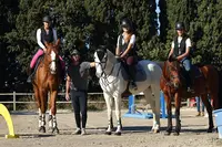 Ecurie Raybeau