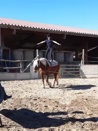 Tous Cavaliers Équithérapie 66