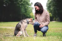 Pim Pets - Éducation et Comportement Chien et Chat