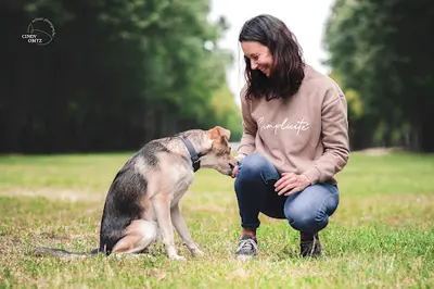 Pim Pets - Éducation et Comportement Chien et Chat