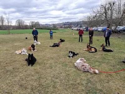 Éducation Canine de Saint Genix/ Guiers