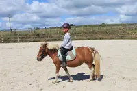 l'Écurie de Fiona