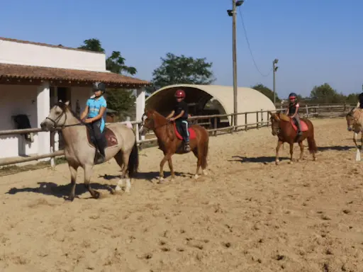 Equitation St Georges d'Orques