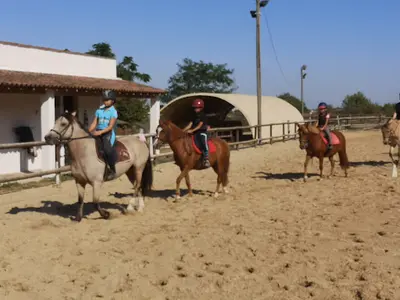 Equitation St Georges d'Orques