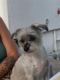 Beauty Chien