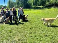 Un Chien Idéal : Éducateur Canin