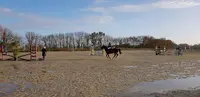 Les Cavaliers du Plaisir