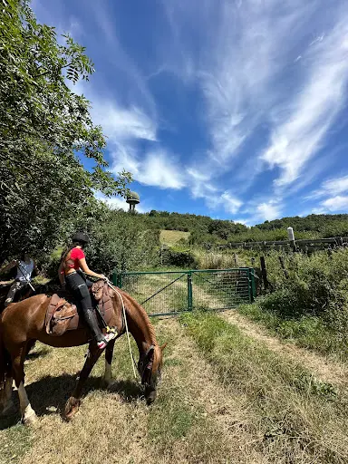 A Cheval Rando Libre