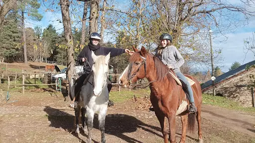 Cévennes À Cheval