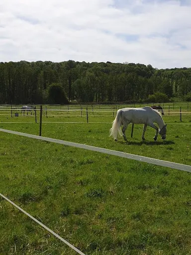 Haras de L’oison