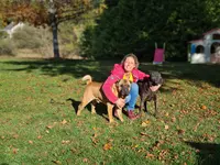 Mille et 1 Truffes