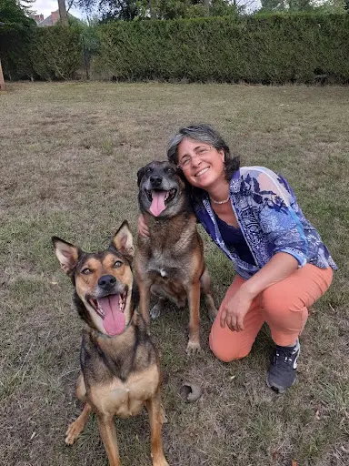 Knideducation – Educateur et Comportementaliste Canin - Saint-germain-lès-arpajon - Sainte-geneviève-des-bois