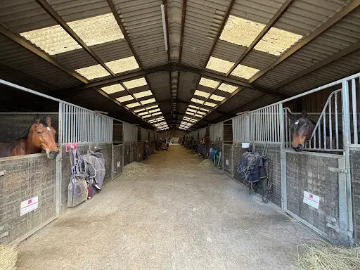 Haras des Demoiselles
