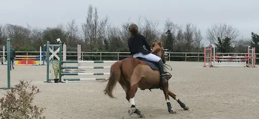 Ecole d'Equitation des Presnes Sarl