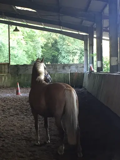 Poney-club de Saint-gervais