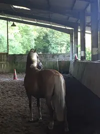 Poney-club de Saint-gervais