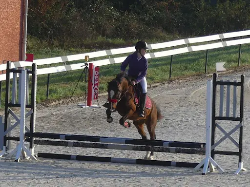 Poney Club les Lavandes