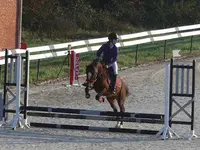 Poney Club les Lavandes