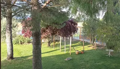 "toutou Va Bene"