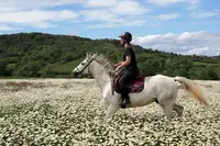 Centre Equestre de Montcelet