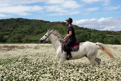 Centre Equestre de Montcelet