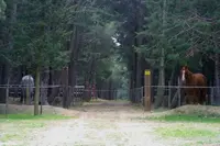 Les Ecuries du Soleil
