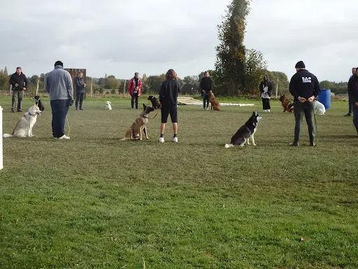 Centre Canin St Gilles