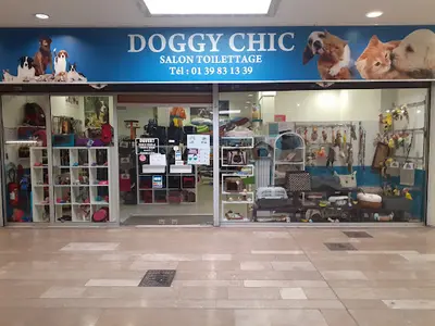 Doggy Chic