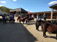 Poney Club Salantine Houssay