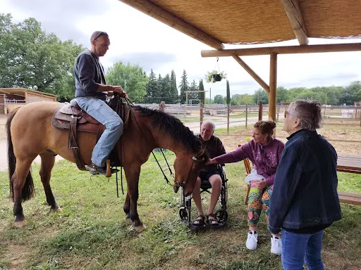 Slacy Ranch - Écuries Pension Chevaux - Loisirs Equestres