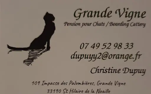 Grand Vigne Pension Pour Chats