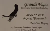 Grand Vigne Pension Pour Chats