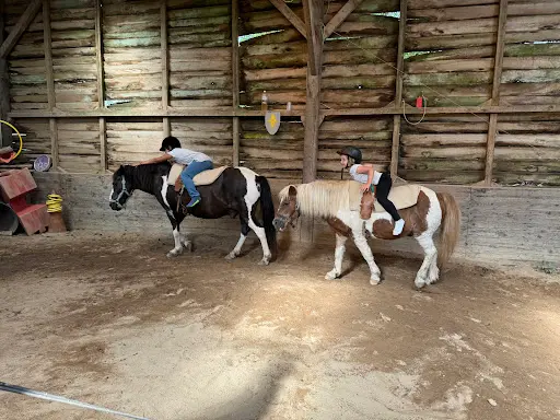 l'Ecole du Cheval
