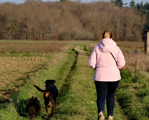 Le Jardin d'Eden - Educateur Canin Comportementaliste