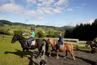 La Ferme Equestre du Rousset