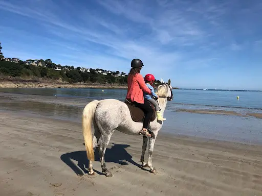 Les Chevaux D’achille