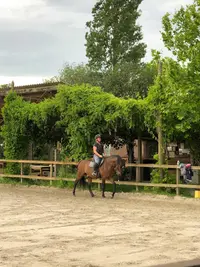 Le Menusé