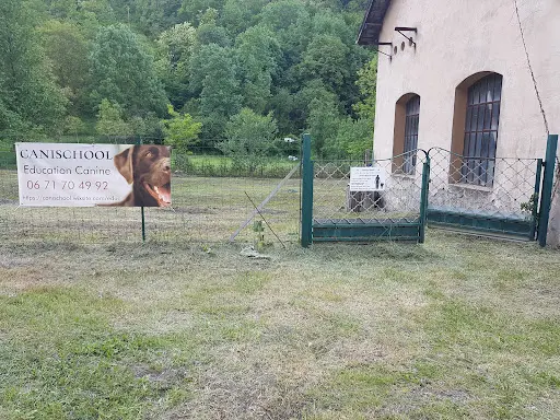 Canischool