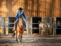 Flo Little Ranch - Pension Cheval Haute-savoie