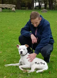 Full Dog Orléans