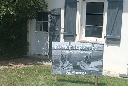 Punky Services