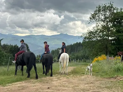 Les Écuries de Champsac