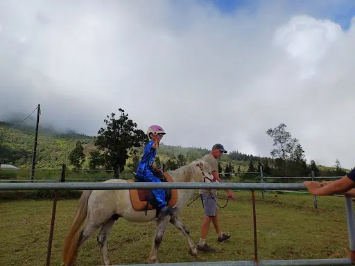 Les Poneys de Grand-coude