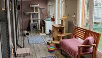 Hotel des Chats Malo