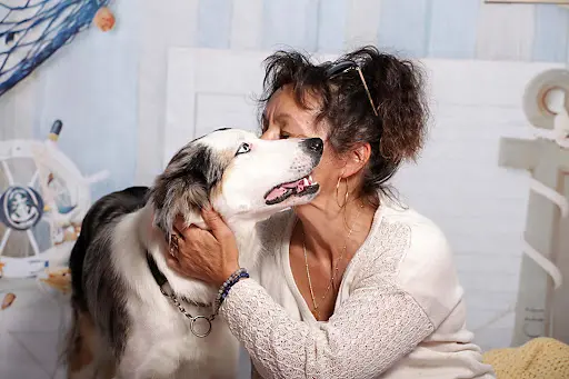 Pension Canine