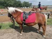 Centre Equestre des Roseaux de Goulaine