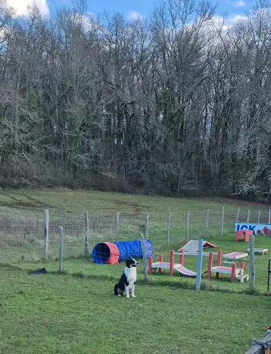 Club Canin "cecare"