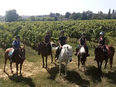 Centre Equestre le Mas du Roi