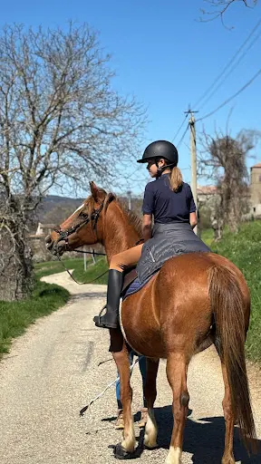 Les Poneys de la Fontaine
