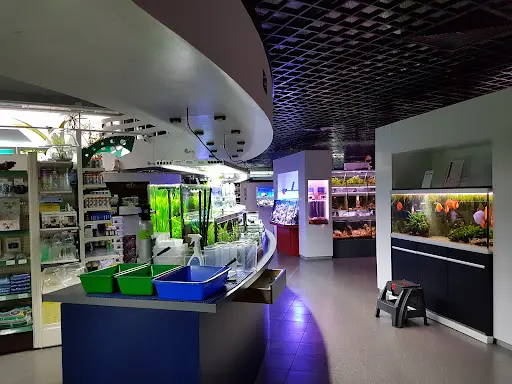 Aux Poissons Exotiques